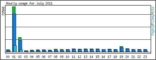 Hourly usage