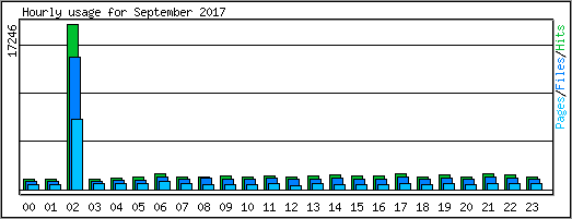 Hourly usage