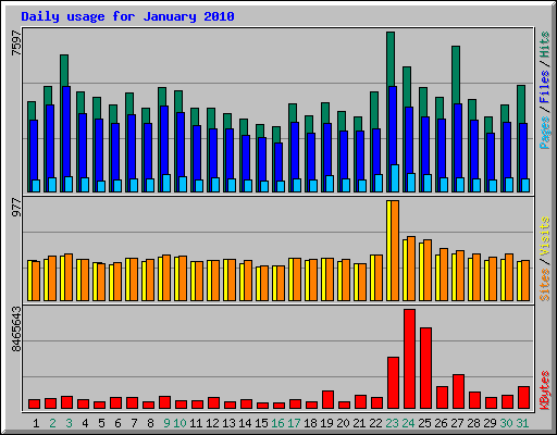 Daily usage for January 2010