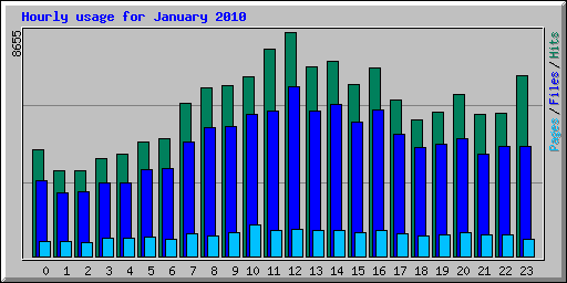 Hourly usage for January 2010