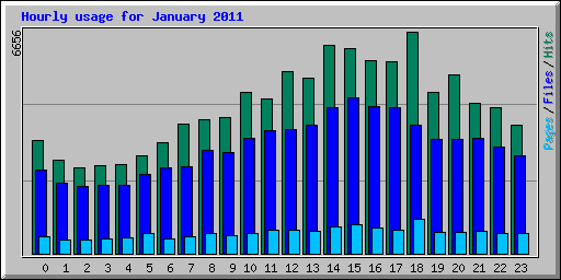 Hourly usage for January 2011