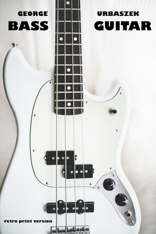 Bass Book Cover